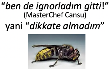 DILIMIZ YA DA ALKOLÜN BEYAZI 