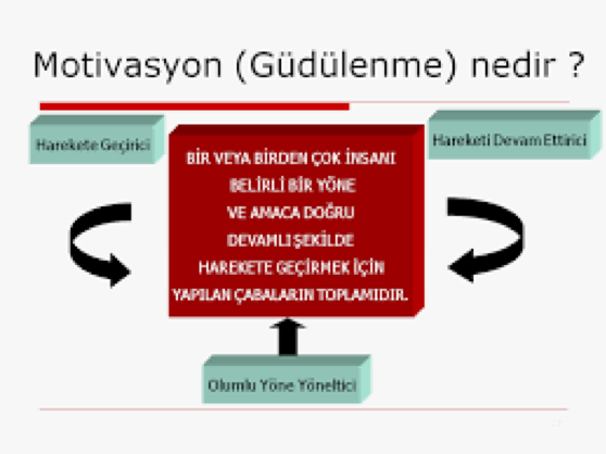 Motivasyon değil Güdü, Dürtü